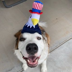 NWT Top Paw American Eagle Hat